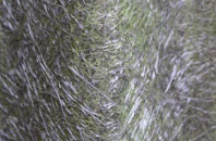 Woolhope fibreglass roof work